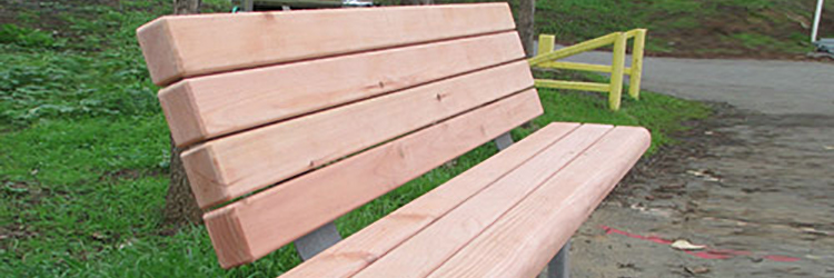 University Bench